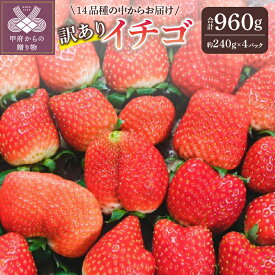 【ふるさと納税】 訳あり いちご 先行予約 2026年 25/26年 セット ギフト 贈答 採れたて フルーツ 約240g×4パック 冷蔵 山梨 甲府市産 k222-008