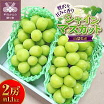 楽天市場】勝沼 シャインマスカット 山梨の通販