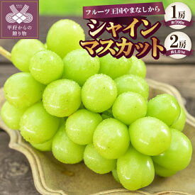 【ふるさと納税】 選べる内容量 ◆山梨県産 大粒シャイン◆ 先行予約 2026年 甲府市産 ぶどう フルーツ 果物 冷蔵 厳選 シャインマスカット 種なし 甘い シャイン 大粒 贈り物 お中元 贈答品 手土産 フルーツ王国山梨 産地直送 数量限定 期間限定 2026年度配送分 k330-001