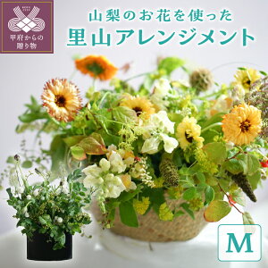 yӂ邳Ɣ[Łz  t[ AWg u[P MTCY G R v[g 蕨 Mtg LO a  ؂₩ ① Ԍ k329-001