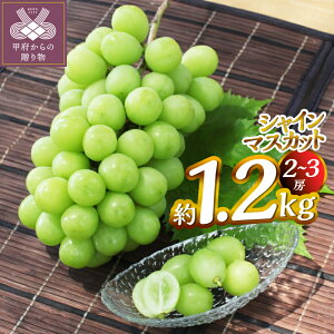 yӂ邳Ɣ[Łz VC}XJbg 1.2kgi2`3[j Ԃǂ t[c ʕ { b{sY Yn  ① ʌ Ԍ 2025N8{`10{ k346-008
