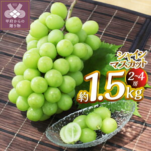 yӂ邳Ɣ[Łz VC}XJbg 1.5kgi2`4[j Ԃǂ t[c ʕ { b{sY Yn  ① ʌ Ԍ 2025N8{`10{ k346-009