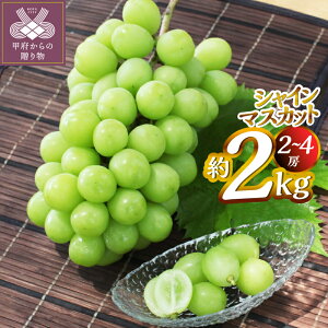 yӂ邳Ɣ[Łz VC}XJbg 2.0kgi2`4[j Ԃǂ t[c ʕ { b{sY Yn  ① ʌ Ԍ 2025N8{`10{ k346-010