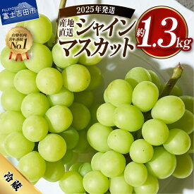 【ふるさと納税】 シャインマスカット フルーツ 選べる容量 1kg 1.3kg 2025年 山梨 大粒 高級 産地直送 富士吉田市 数量限定 期間限定 富士吉田 果物 ぶどう 朝採り 2025年 シャイン マスカット ふるさと納税 山梨 富士吉田 山梨県