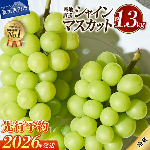 yӂ邳Ɣ[Łz VC}XJbg t[c Iׂe 1kg 1.3kg 2026N R 嗱  Yn xmgcs ʌ Ԍ xmgc ʕ Ԃǂ ̂ VC }XJbg ӂ邳