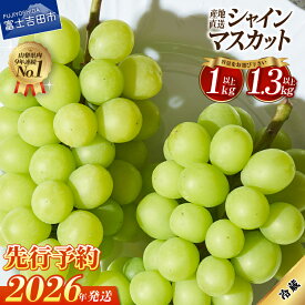 【ふるさと納税】 2026年 先行予約 シャインマスカット フルーツ 選べる容量 1kg以上 1.3kg以上 2026年 山梨 大粒 高級 産地直送 富士吉田市 数量限定 期間限定 富士吉田 果物 ぶどう 朝採り シャイン マスカット ふるさと納税 山梨 富士吉田 山梨県 ふるさと納税 ランキング