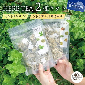 【ふるさと納税】 ハーブティー TEA 詰め合わせ 2種 セット 無農薬 ミント レモン シトラス カモミール 天然素材 自然栽培 茶葉 グリーンティー ハーブ ティーバッグ リラックス ユズ 陳皮 レモングラス レモンバーム 生姜 ローズマリー 富士吉田市