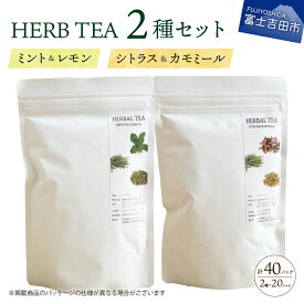 【ふるさと納税】 ハーブティー TEA 詰め合わせ 2種 セット 無農薬 ミント レモン シトラス カモミール 天然素材 自然栽培 茶葉 グリーンティー ハーブ ティーバッグ リラックス ユズ 陳皮 レモングラス レモンバーム 生姜 ローズマリー 富士吉田市 ノンカフェイン SDGs
