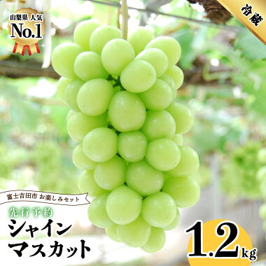 �ڤդ뤵��Ǽ�ǡ� ���㥤��ޥ����å� ���� ���ͽ�� 2023 ��ʪ �ե롼�� �� ��γ ���ڤ��� ���å� �����ͽ�󡦿��̸���� 2˼ 1.2kg ��� �֤ɤ� �֥ɥ� ������� �ٻε��Ļ� ������ ��2023ǯ8��ܰʹ�ȯ����