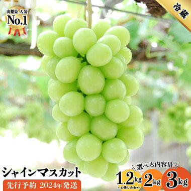 アイテムID:667902の画像1枚目
