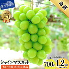  シャインマスカット 700g 1.2kg フルーツ ぶどう 果物 2024年 先行予約 山梨 旬 大粒 お楽しみ セット 富士吉田 【先行予約・数量限定】 高級 富士吉田市 ブドウ 葡萄 ぶどう 皮ごと くだもの 果物 山梨県 【2024年8月下旬以降発送】