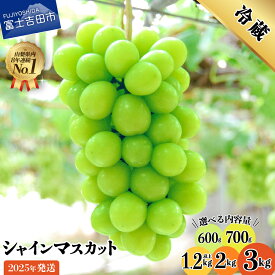 【ふるさと納税】シャインマスカット 選べる容量 お試し 600g 700g 1.2kg以上 2kg 3kg ふるさと納税 フルーツ ぶどう 果物 送料無料 山梨県 2025 旬 大粒 富士吉田 高級 富士吉田市 ふるさと納税 ブドウ 葡萄 くだもの【2025年発送】