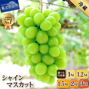 yӂ邳Ɣ[Łz 2026N s\ VC}XJbg Iׂe 1kg`3kg ӂ邳Ɣ[ t[c Ԃǂ ʕ  R 2026 s \ { 嗱 xmgc  xmgcs ӂ邳Ɣ[