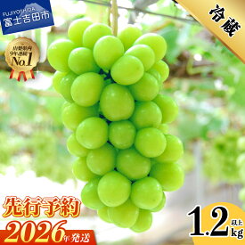 【ふるさと納税】シャインマスカット 選べる容量 お試し 600g 700g 1.2kg以上 2kg 3kg ふるさと納税 フルーツ ぶどう 果物 送料無料 山梨県 2026 先行 予約 旬 大粒 富士吉田 高級 富士吉田市 ふるさと納税 ブドウ 葡萄 くだもの【2026年発送】