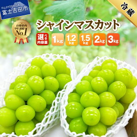 【ふるさと納税】 2026年 先行予約 シャインマスカット 選べる容量 1kg～3kg ふるさと納税 フルーツ ぶどう 果物 送料無料 山梨県 2026 先行 予約 旬 大粒 富士吉田 高級 富士吉田市 ふるさと納税 ブドウ 葡萄 くだもの ふるさと納税 ランキング 【 2026年発送 先行予約 】
