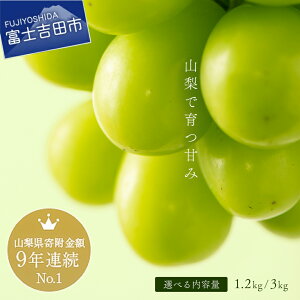 �y�ӂ邳�Ɣ[�Łz 2026�N ��s�\�� �V���C���}�X�J�b�g �I�ׂ�e�� 1.2kg�ȏ� 3kg ��l�C ���J�� �ґ� �V���C�� �Ԃǂ� �ʕ� �t���[�c �������� �R�����Y ���� �u�h�E ���� �嗱 �������� ���I �W