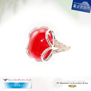 yӂ邳Ɣ[Łz WG[ O _Ch 嗱 [hiCg w 26ctUP ANZT[ v`i _ChO a  VR fB[XWG[ v[g  a