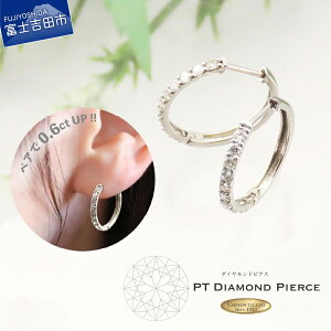 【ふるさと納税】 ピアス ダイヤモンド プラチナ PT900 アクセサリー 天然石 宝石 ダイヤ ジュエリー レディース プレゼント 女性 誕生日 記念日 ホワイトデー 母の日 ギフト 品質保証書付
