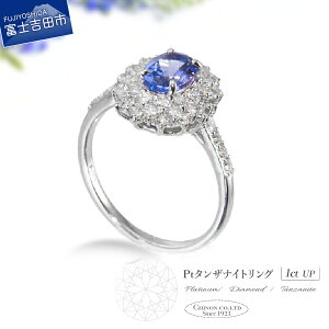 【ふるさと納税】 指輪 ダイヤ リング タンザナイト ダイヤモンド アクセサリー タンザナイト ゾイサイト プラチナ PT900 天然石 宝石 ジュエリー レディース プレゼント 女性 12月 誕生石 6号