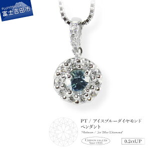 【ふるさと納税】 アイスブルーダイヤモンド ペンダント ジュエリー ネックレス 天然石 ダイヤ プラチナ PT900 ダイヤモンド アクセサリー 宝石 レディース 女性 ギフト プレゼント クリスマ