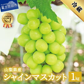 【ふるさと納税】 シャインマスカット 2房 約1kg 山梨県産 富士吉田市 数量限定 期間限定 ブドウ フルーツ 果物 シャイン マスカット 富士吉田 ふどう 葡萄 9月 10月 産地直送 くだもの 大きい 果実 くだもの 人気 【先行予約 2025年発送】