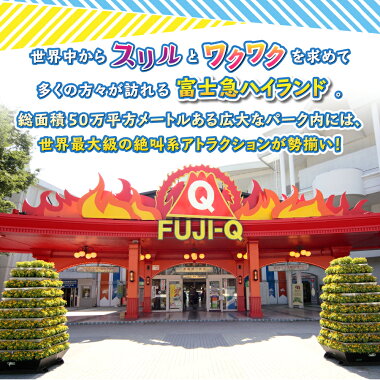 アイテムID:670023の画像5枚目