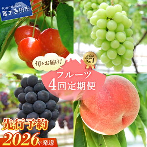 yӂ邳Ɣ[Łz t[c  4 ʌ VC}XJbg   Ԃǂ ʕ  ͂ Ԍ 2026N 6`9  ① Mtg y RY R xm