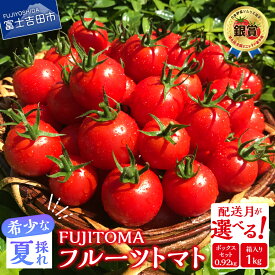 【ふるさと納税】 『ぐるナイ』にて紹介 フルーツトマト 「FUJITOMA」 ふるさと納税 とまと トマト ミニトマト 野菜 ふるさと納税 人気 新鮮 甘い 完熟 食べやすい リコピン ビタミン ダイエット 美容 美肌 ギフト 美味アワード2023 ふるさと納税 山梨県 富士吉田市