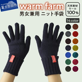 【ふるさと納税】 キャンプ用品 光吸収発熱ウール ウォームファーム 手袋 14色展開 アウトドア キャンプ ニット 男女兼用 フリーサイズ レディース メンズ 毛糸 日用品 ファッション 雑貨 バナウォーム アウトドア用品 暖かい 登山 グローブ