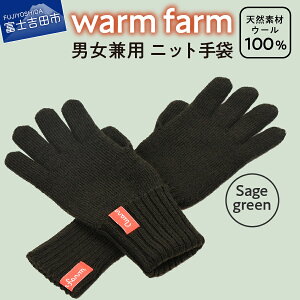 【ふるさと納税】 キャンプ用品 光吸収発熱ウール ウォームファーム 手袋 14色展開 アウトドア キャンプ ニット 男女兼用 フリーサイズ レディース メンズ 毛糸 日用品 ファッション 雑貨 バ