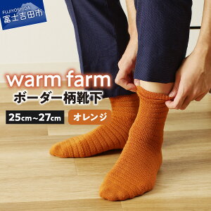 yӂ邳Ɣ[Łz C \bNX zME[ EH[t@[ 25cm`27cm {[_[ ߏ IׂJ[ `R[O[ J[L lCr[ bh IW C ^[RCY t@