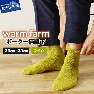 yӂ邳Ɣ[Łz C \bNX zME[ EH[t@[ 25cm`27cm {[_[ ߏ IׂJ[ `R[O[ J[L lCr[ bh IW C ^[RCY t@