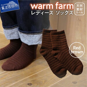 yӂ邳Ɣ[Łz C fB[X 1 Lv pi zM E[ EH[t@[ 15FWJ ~p 22cm`25cm AEghA pi t@bV G oiEH[ VR@ ߗ g