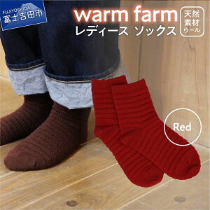 yӂ邳Ɣ[Łz C fB[X 1 Lv pi zM E[ EH[t@[ 15FWJ ~p 22cm`25cm AEghA pi t@bV G oiEH[ VR@ ߗ g