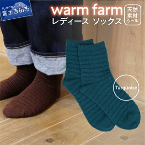 【ふるさと納税】 靴下 レディース 1足 キャンプ 用品 光吸収発熱 ウール ウォームファーム 15色展開 冬用 22cm〜25cm アウトドア 日用品 ファッション 雑貨 バナウォーム 天然繊維 衣類 暖かい