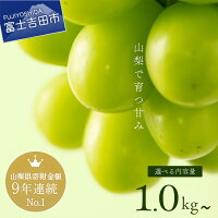 【ふるさと納税】 【楽天限定】 【期間限定特別寄附額！】 ★フルーツランキ...