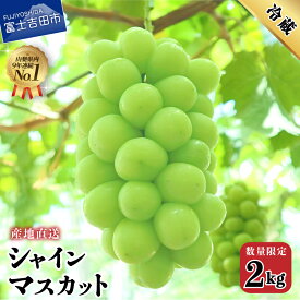 【ふるさと納税】 ふるさと納税 シャインマスカット 3～4房 2kg以上 大粒 高級 シャイン 山梨 産地直送 ふるさと納税 富士吉田市 数量限定 期間限定 フルーツ ぶどう 果物 2026年 送料無料 高レビュー