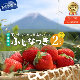 【ふるさと納税】 先行予約 2024年発送 【数量限定！夏いちご】 イチゴ 夏いちご 富士夏媛 ふじなつき 選べる内容量 富士吉田市 中玉 180g×2パック 大玉 200g×2パック 120g×1パック 富士吉田 糖度15度以上 数量限定 期間限定 フルーツ くだもの 果物 いちご