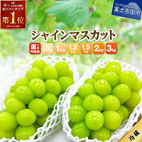 【ふるさと納税】ガイアの夜明けで紹介されました！送料無料 シャインマスカッ...