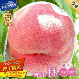 【ふるさと納税】ふるさと納税 もも 桃 【楽天限定】 【2026年先行予約】 数量限定 期間限定 選べる お届け回数 定期便 約1kg 約2kg 送料無料 ふるさと納税 朝どれ くだもの フルーツ 産地直送 果物 大玉 白鳳 白桃 山梨県 富士吉田市