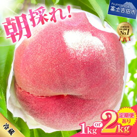 【ふるさと納税】 ★高評価レビュー☆4.47★ 2026年発送 先行予約 ふるさと納税 もも 桃 モモ 【 楽天限定 】 数量限定 期間限定 選べる回数 定期便 約1kg 約2kg 送料無料 高レビュー 新鮮 朝どれ くだもの フルーツ 産地直送 送料無料 果物 大玉 富士吉田市 ふるさと納税