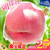 【ふるさと納税】 ★高評価レビュー☆4.47★ 2026年発送 ふるさと納...