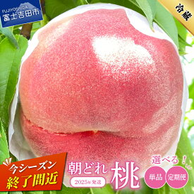 【ふるさと納税】ふるさと納税 もも 桃 モモ 【 楽天限定 】【 2025年発送 】【 2026年先行予約 】 数量限定 期間限定 選べる お届け回数 定期便 約1kg 約2kg 送料無料 高レビュー 新鮮 朝どれ くだもの フルーツ 産地直送 送料無料 果物 大玉 白鳳 白桃 山梨県 富士吉田市