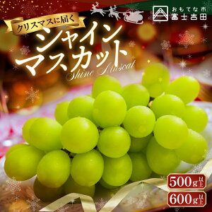 yӂ邳Ɣ[Łz2025N Ԍ NX}Xɓ͂ VC}XJbg Iׂe 500g 600g RY Ԃǂ Ȃ VC }XJbg t[c ʕ  NX}X v[g Y