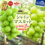  シャインマスカット 定期便 1kg×2 計 2kg 全2回 フルーツ 果物 富士吉田 ぶどう くだもの 富士吉田市 山梨県 お楽しみ マスカット 2024年 先行予約