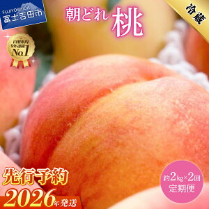 yӂ邳Ɣ[Łzӂ邳Ɣ[    y yV zy 2026N s\ z ʌ Ԍ Iׂ ͂  1kg 2kg  r[ VN ǂ  t