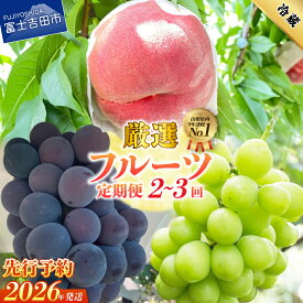 【ふるさと納税】 2026年 先行予約 定期便 フルーツ 桃 シャインマスカット 黒ぶどう 選べる回数 2回 3回 白鳳 白桃 もも ブドウ 1房 500g以上 果物 高レビュー 送料無料 数量限定 期間限定 【2026年7月中旬頃～10月中旬頃まで順次発送】 富士吉田 ふるさと納税 ランキング