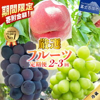【ふるさと納税】 ＼6/11まで特別価格／ ＼高評価★4.64／ 2026...