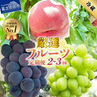 【ふるさと納税】 ★総合ランキング常連！★ 2026年 定期便 フルーツ ...