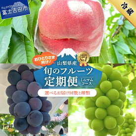 【ふるさと納税】 2026年 定期便 フルーツ 桃 シャインマスカット 黒ぶどう 山梨 2回 3回 2個 3個 1房 大玉3玉 白鳳 白桃 ブドウ 果物 くだもの 数量限定 期間限定 おひとり お試し 富士吉田市 ふるさと納税 ランキング【2026年7月中旬頃～10月中旬頃まで順次発送】